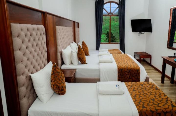Hotel Silver Falls - Nuwara Eliya Exteriér fotografie